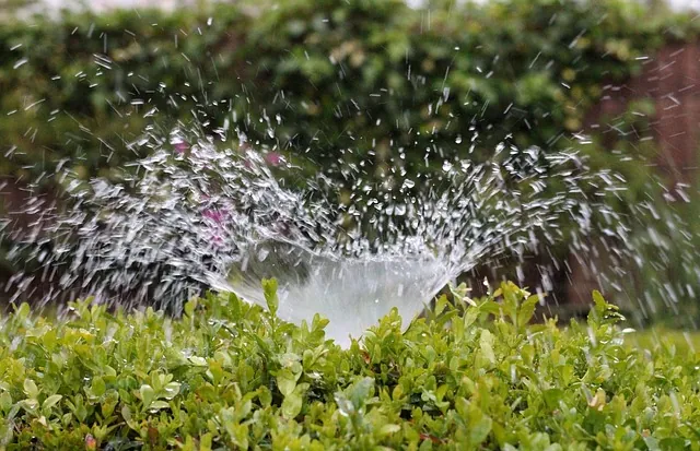 Tips for Irrigating Your Home’s Foundation - Sprinkler Repair Dallas, TX (972) 616-4888 - Aquamax Sprinkler Systems