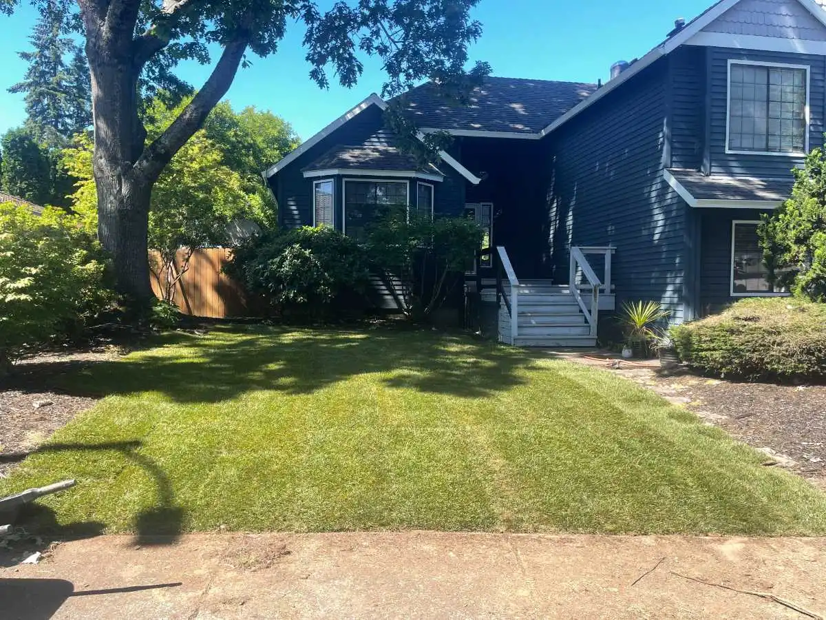 New sod watered in after installation