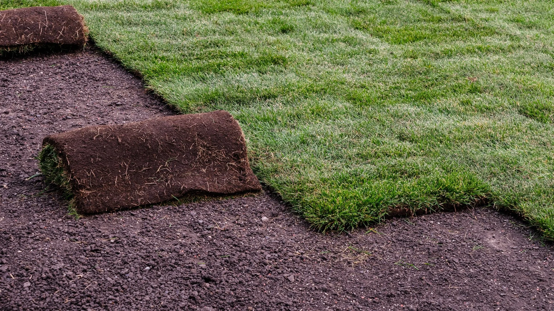 Sod Installation