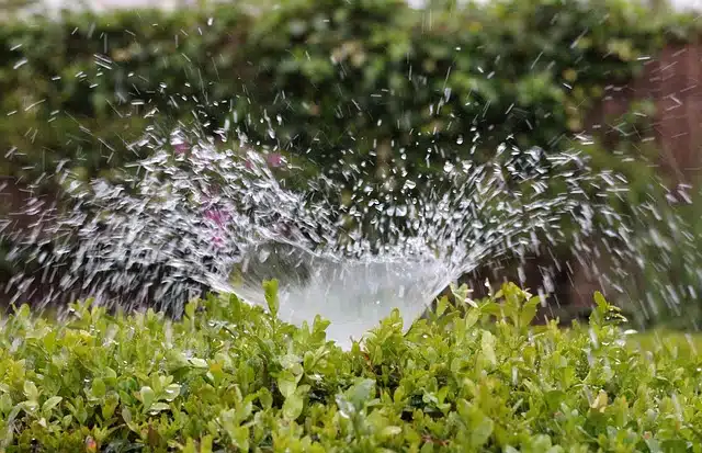 Tips for Irrigating Your Home’s Foundation - Sprinkler Repair Dallas, TX (972) 616-4888 - Aquamax Sprinkler Systems