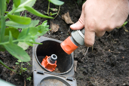 Irrigation sprinkler watering grass plug and socket