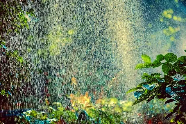 sprinkler system installation, sprinkler system repair, drip irrigation, irrigation system installation, irrigation system repair, dallas tx