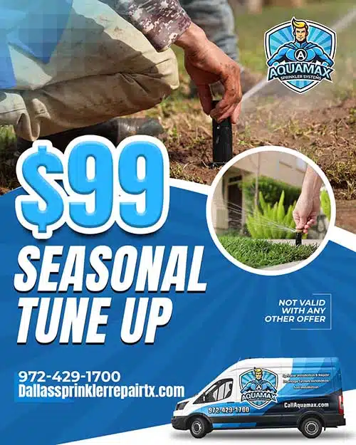 Seasonal tune-up special